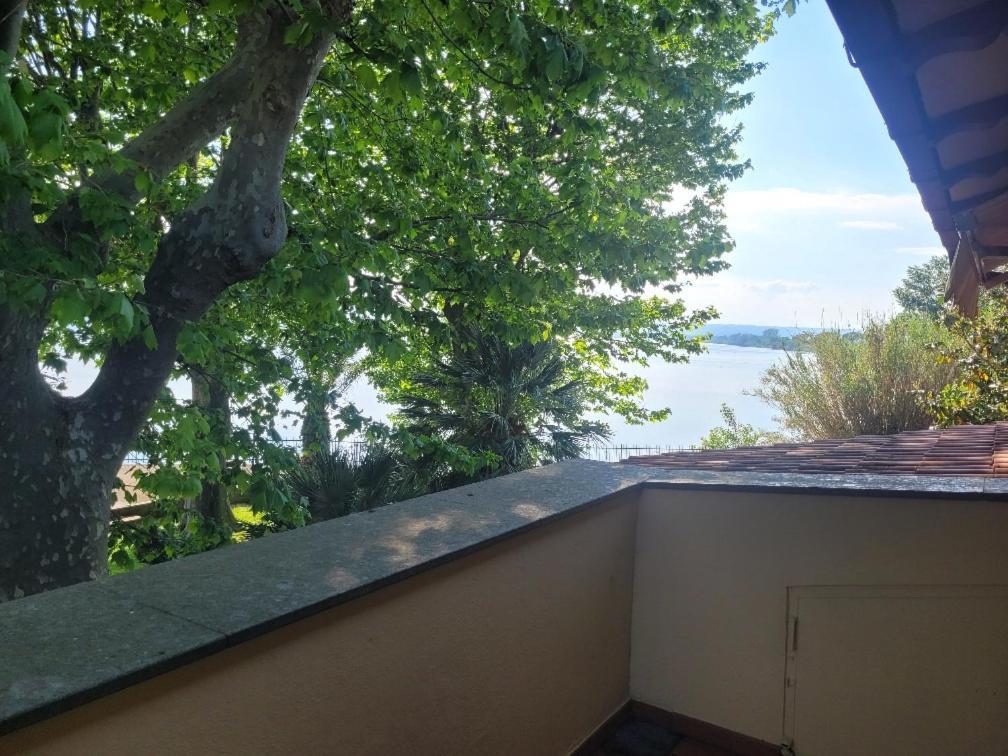 בולסנה Hotel Eden Sul Lago מראה חיצוני תמונה